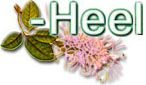 Гомеопатические препараты фирмы -HEEL